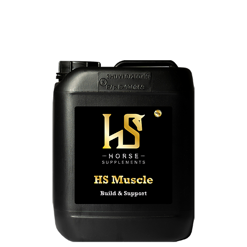 HS Muscle 5L