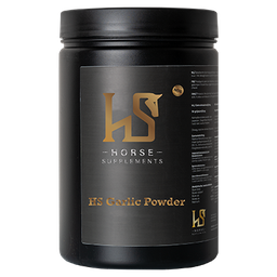 HS Garlic Powder 1,5kg